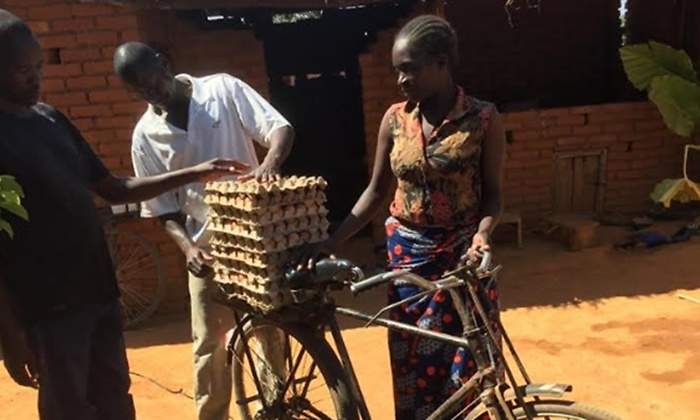 huevos africa