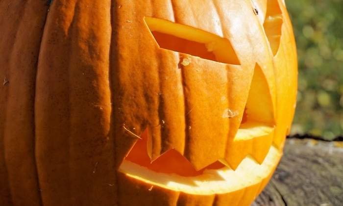 halloween-calabaza-pixabay.jpg