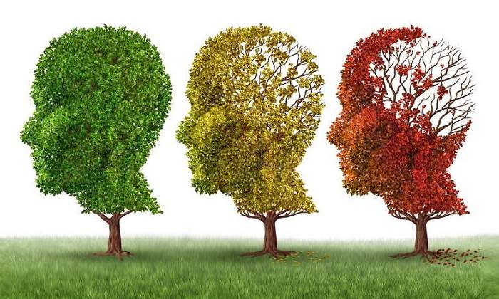 alzheimer-tratamiento-otro-770.jpg
