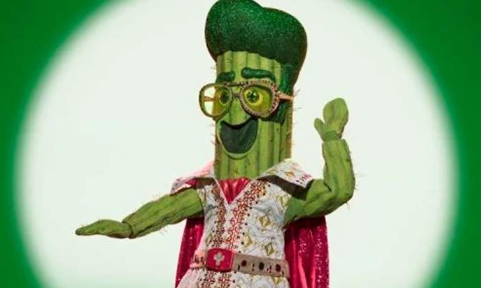 cactus-mask-famoso.jpg