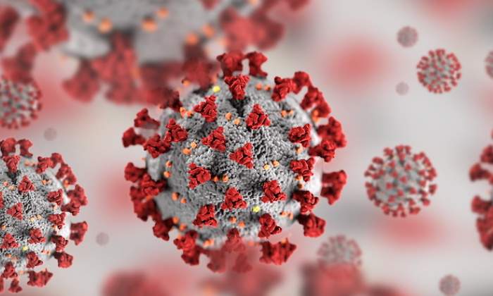 770-420-covid-virus-dreamstime.jpg