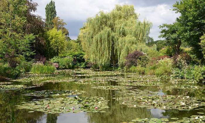 770x420-jardines-monet-francia-dreamstime.jpg