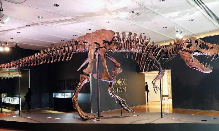 Dinosaurio-apertura.jpg