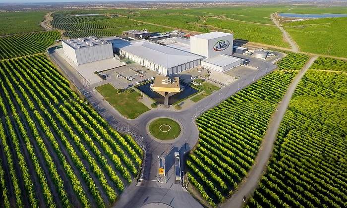 Planta-DON-SIMoN-en-Huelva.jpg