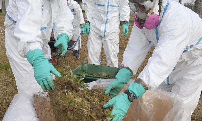 fukushima-iitate-limpieza-reuters.jpg