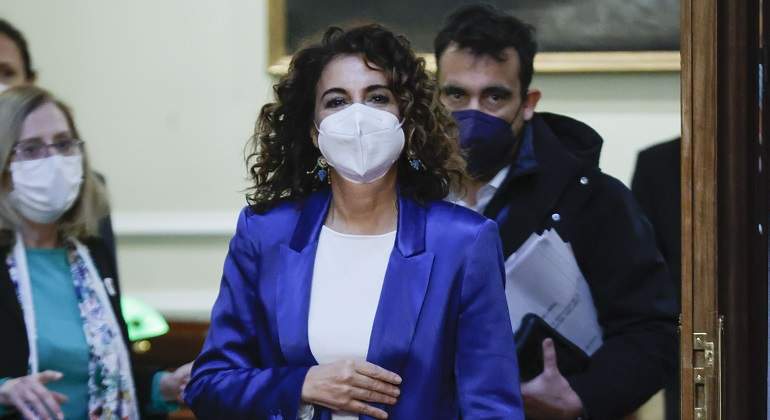 Los ingenieros de Montes piden bajar el IVA de la biomasa de origen forestal del 21 al 10%