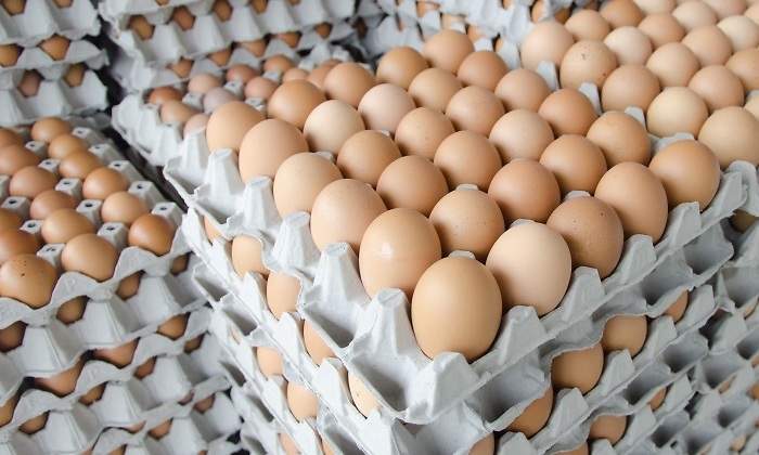huevos-marrones-dreamstime.jpg