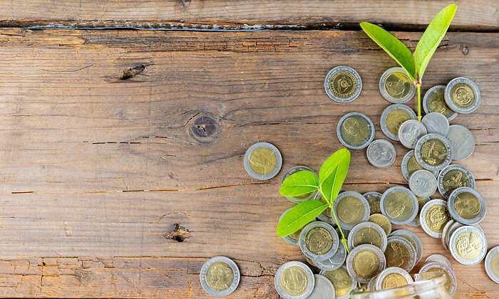 Monedas-sostenibilidad-770-istock.jpg