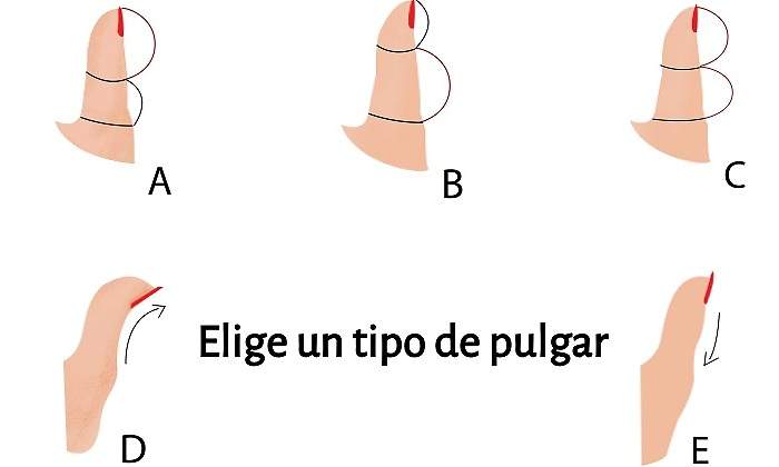 Tipos-de-pulgar.jpg