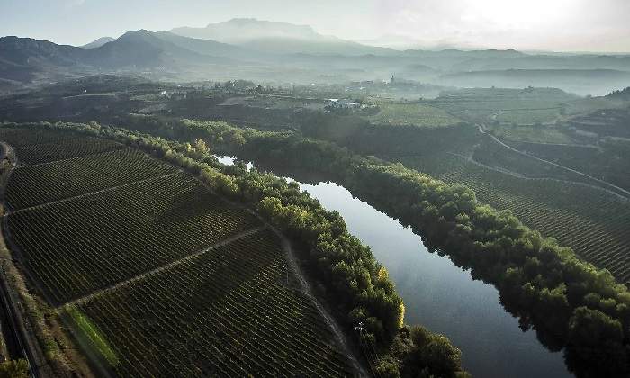 Vinedos-Rioja-Haro.jpg