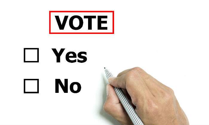 votar-defini.jpg