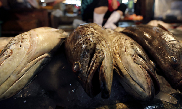 pesca-ilegal-efe.png