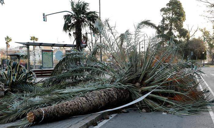 temporal-valencia-diciembre-2019-efe.jpg