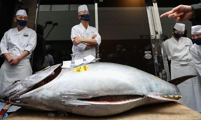atun-rojo-caro-subasta-inagurual-ano-lonja-toyosu-tokio-5enero2021-770x420-getty.jpg