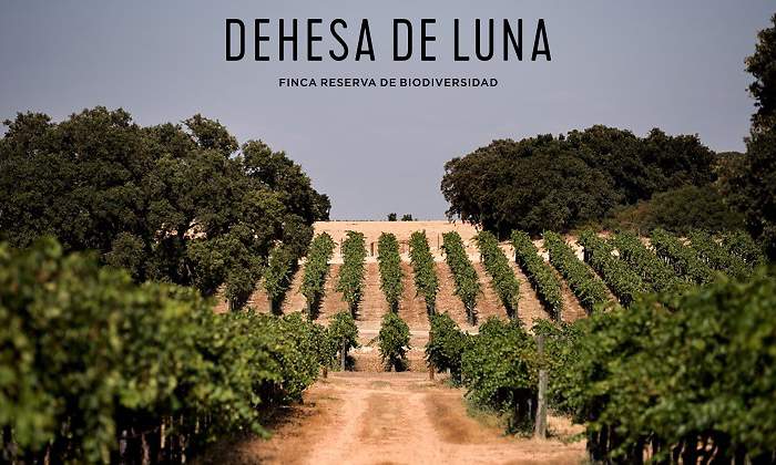 770x420-dehesa-luna-principal.jpg