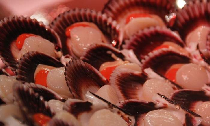 conchas_de_abanico.jpg
