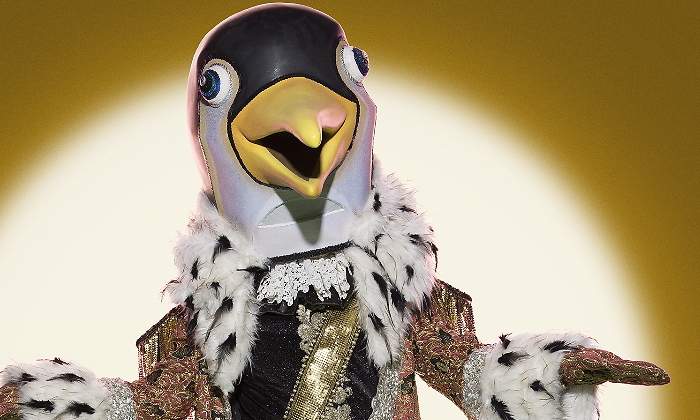 pinguino-mask.jpg