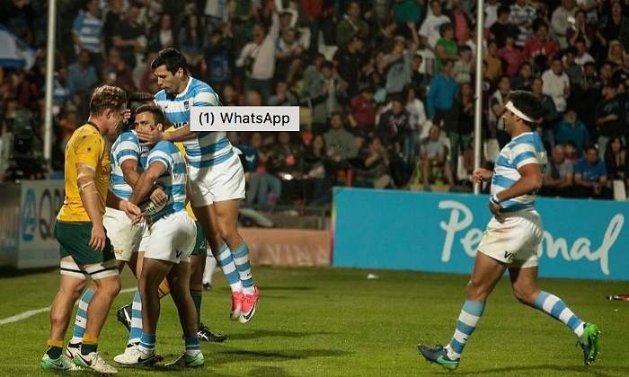 LosPumas.jpg
