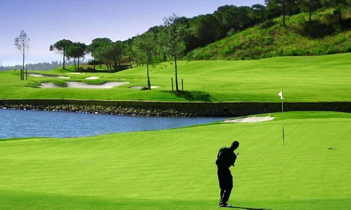 golf770.jpg