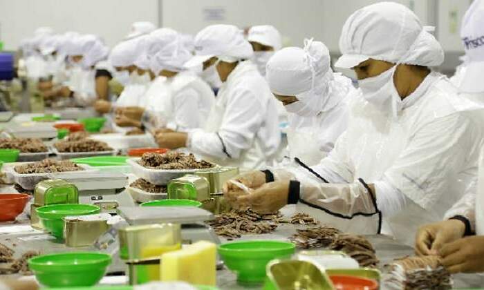 Alimentaria.jpg