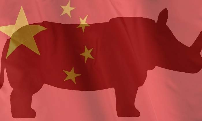 china-rinoceronte