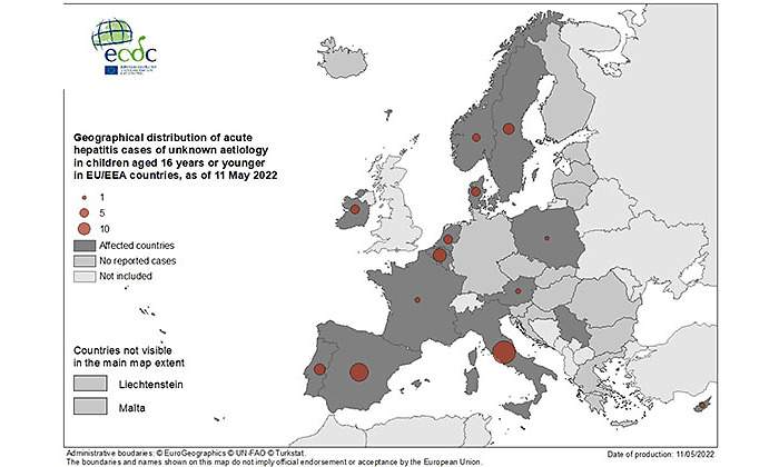 hepatitis-buena.jpg