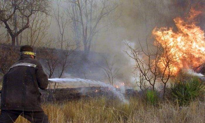 Incendio-forestal-cordoba.jpg