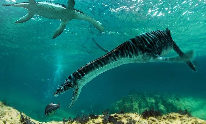 plesiosaurio-castellon-sinc.jpg