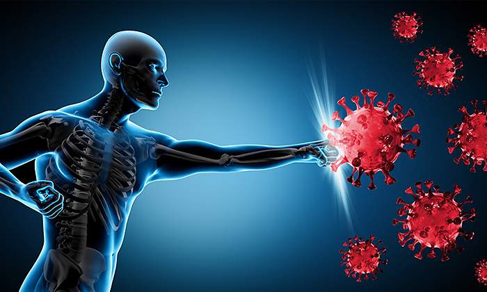 sistema-inmunitario-virus.jpg