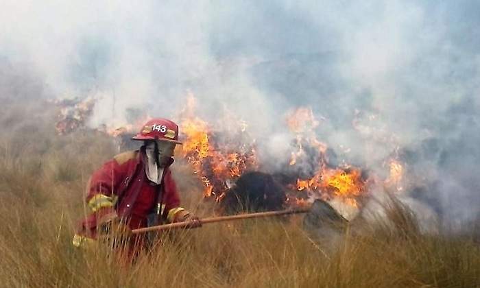 Incendios forestales