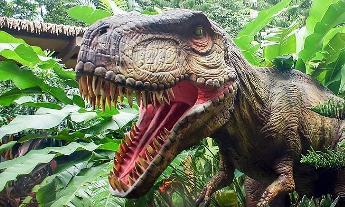 Tyrannosaurus-rex
