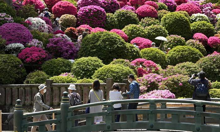 770-420-japon-turismo-efe.jpg