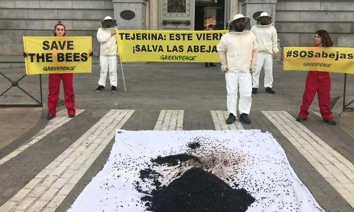 greenpeace-abejas-tejerina.jpg