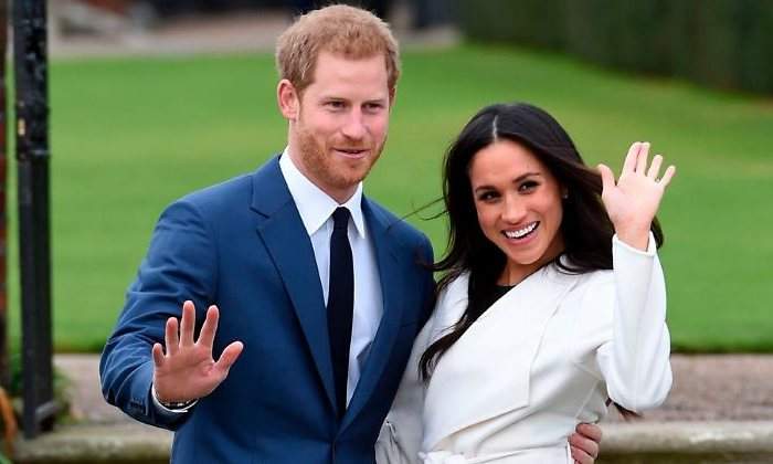 meghan-padrino-770.jpg
