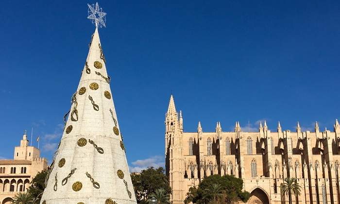 arbol-navidad-palma.jpg