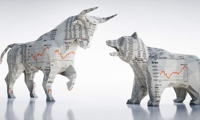toro-oso-papel-istock.jpg