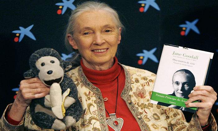 Jane-Goodall-defini.jpg
