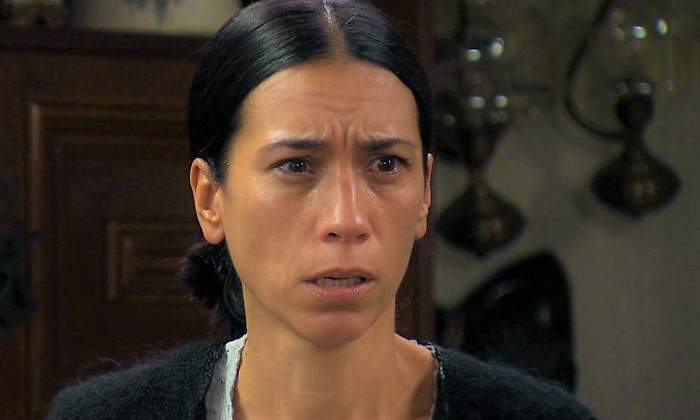 amar-regreso-luisita.jpg