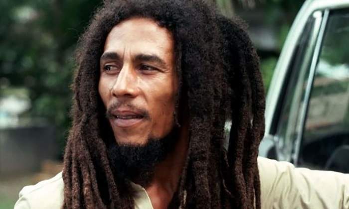 marley-770.jpg