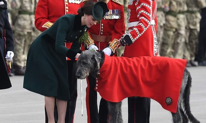 kate-middleton-verde.jpg