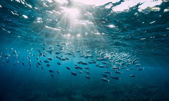 oceano-istock-770.jpg