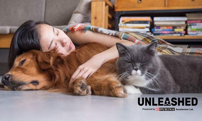 petcare-startups-purina-lanzadera-juan-roig-770.jpg