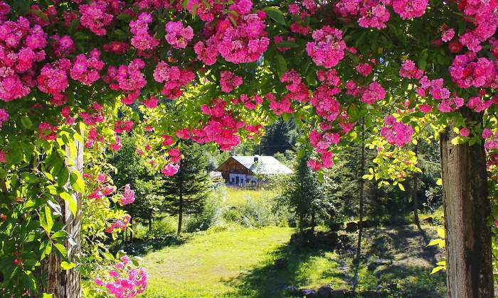 jardin-dreamstime.jpg