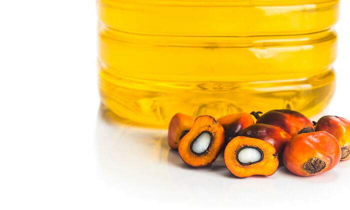 aceite-de-palma-1.jpg