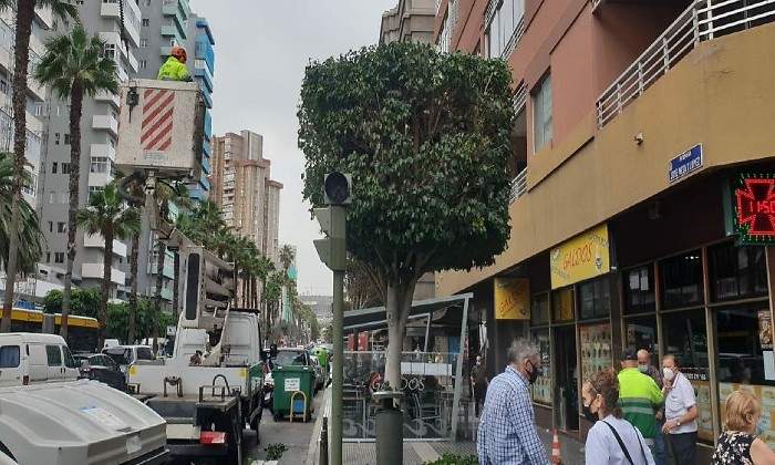 canarias-calle.jpg