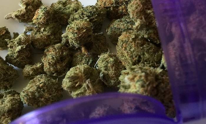 cannabis-770x420-pixabay.jpg
