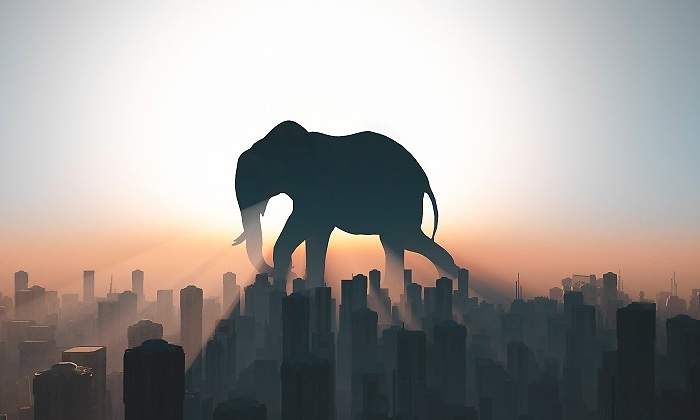 Un-elefante-caminando-por-encima-de-una-ciudad-iStock.jpg