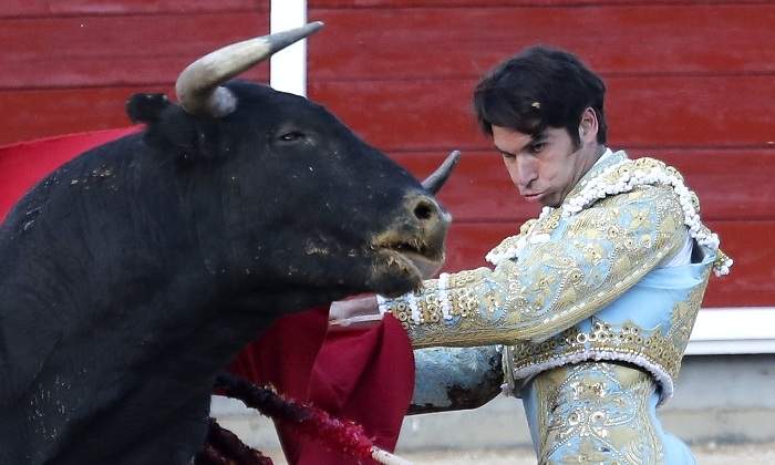 toros-movistar.jpg