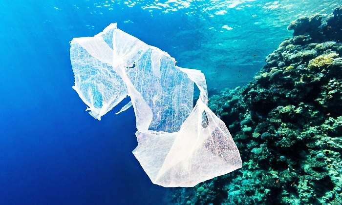 plastico-oceano-770-dreamstime.jpg