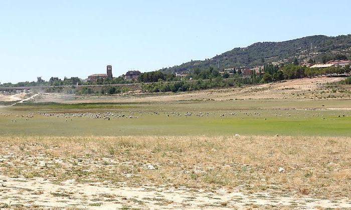 pantano-entrepenas-tajo-770.jpg